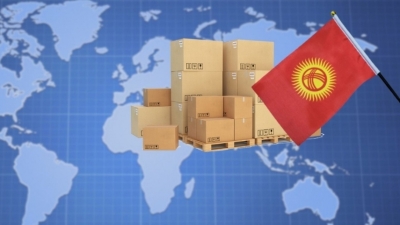 Давление на Кыргызстан: Западные стратегии и риски глобальной политики